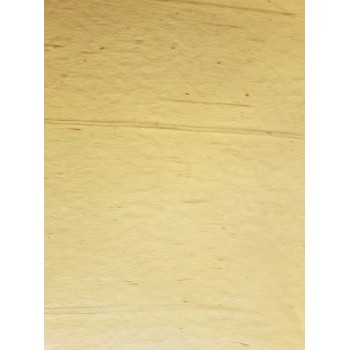 Naranja (sobresaliente) Placa Transparente 50cm x 50cm (072)